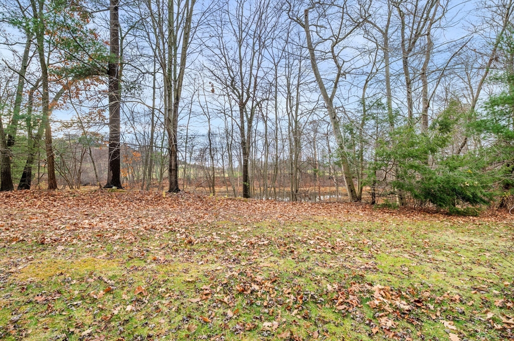 328 East Broadway Haverhill, MA 01830 - Photo 35 of 37 a backyard of a house with lots of green space