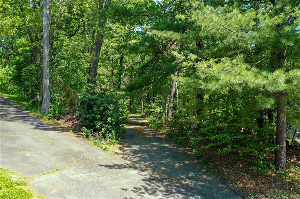 S Neipsic Road Glastonbury, CT 06033 - Photo 1 of 1 a view of yard