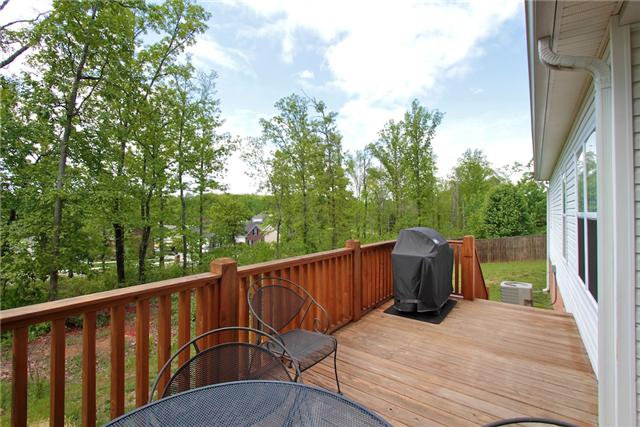 7239 Cox Pike Fairview, TN 37062 - Photo 18 of 19 The trees add privacy to the backyard