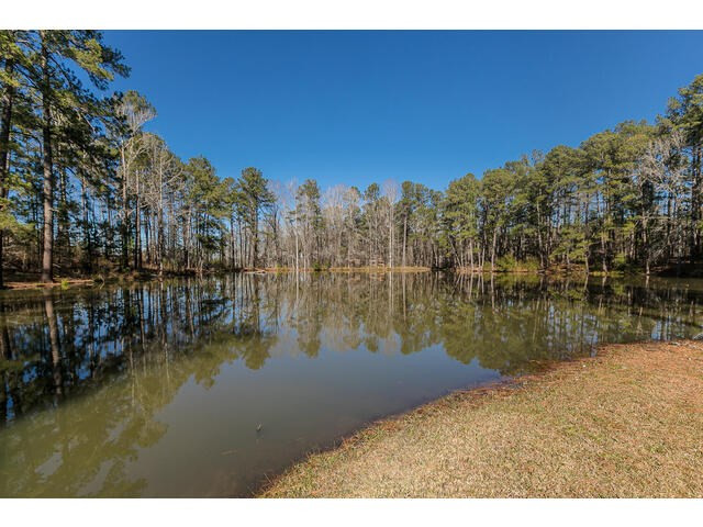 4387 Hardy McManus Road Evans, GA 30809 - Photo 44 of 50 Gallery Image 44