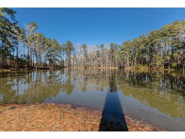 4387 Hardy McManus Road Evans, GA 30809 - Photo 47 of 50 Gallery Image 47