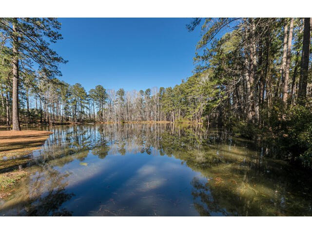 4387 Hardy McManus Road Evans, GA 30809 - Photo 50 of 50 Gallery Image 50