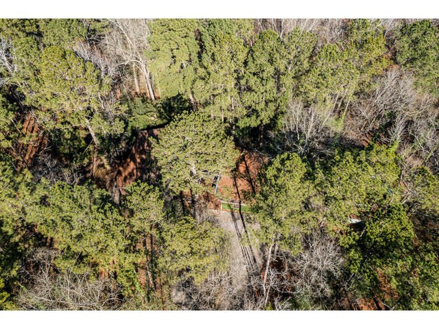 4387 Hardy McManus Road Evans, GA 30809 - Photo 6 of 50 Gallery Image 6