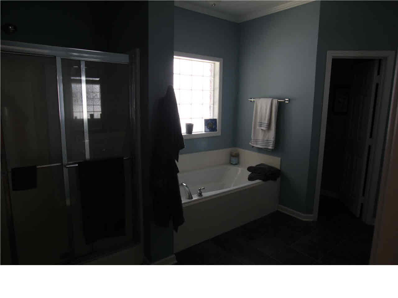106 Spring Creek Cove Ridgeland, MS 39157 - Photo 14 of 20 Master bath view 1