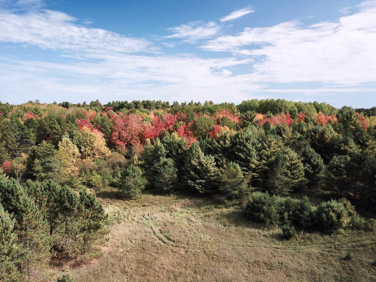 159-ac Piehl Road Tomahawk, WI 54487 - Photo 27 of 55 Gallery Image 27