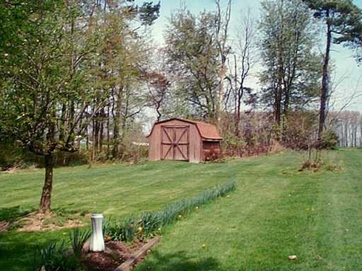 217 Brose Road Cabot, PA 16023 - Photo 4 of 8 Yard/Garden.