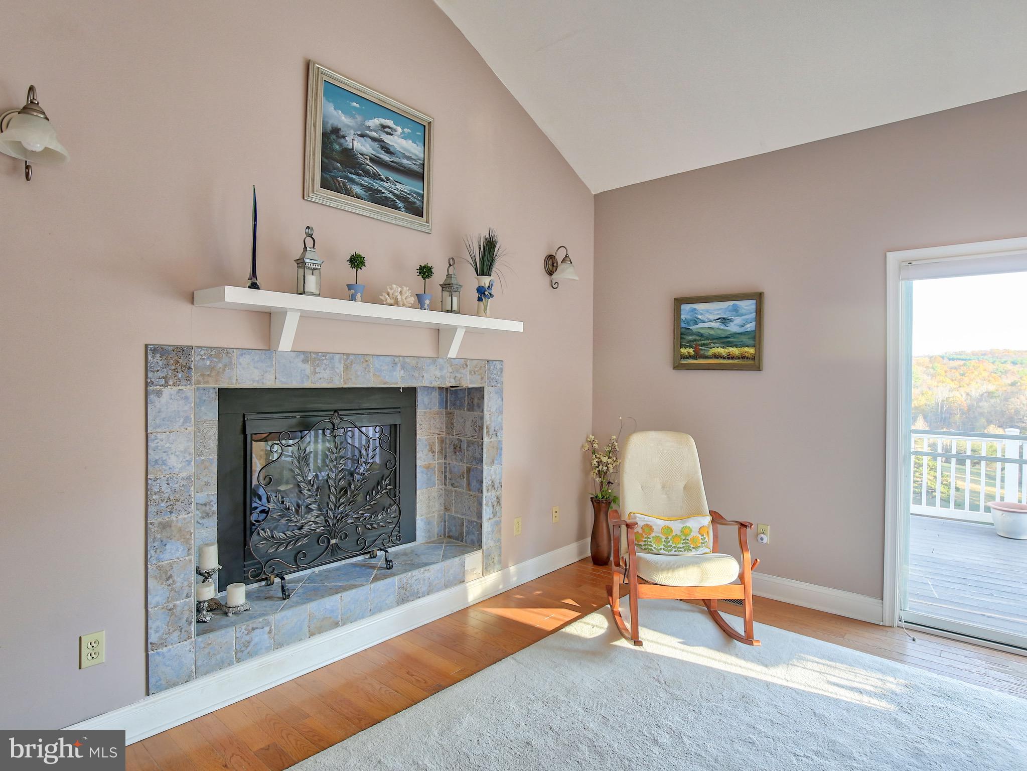 461 Fletcher Road Gore, VA 22637 - Photo 22 of 51 Gas fireplace in Master (double sided w/ Great Rm)