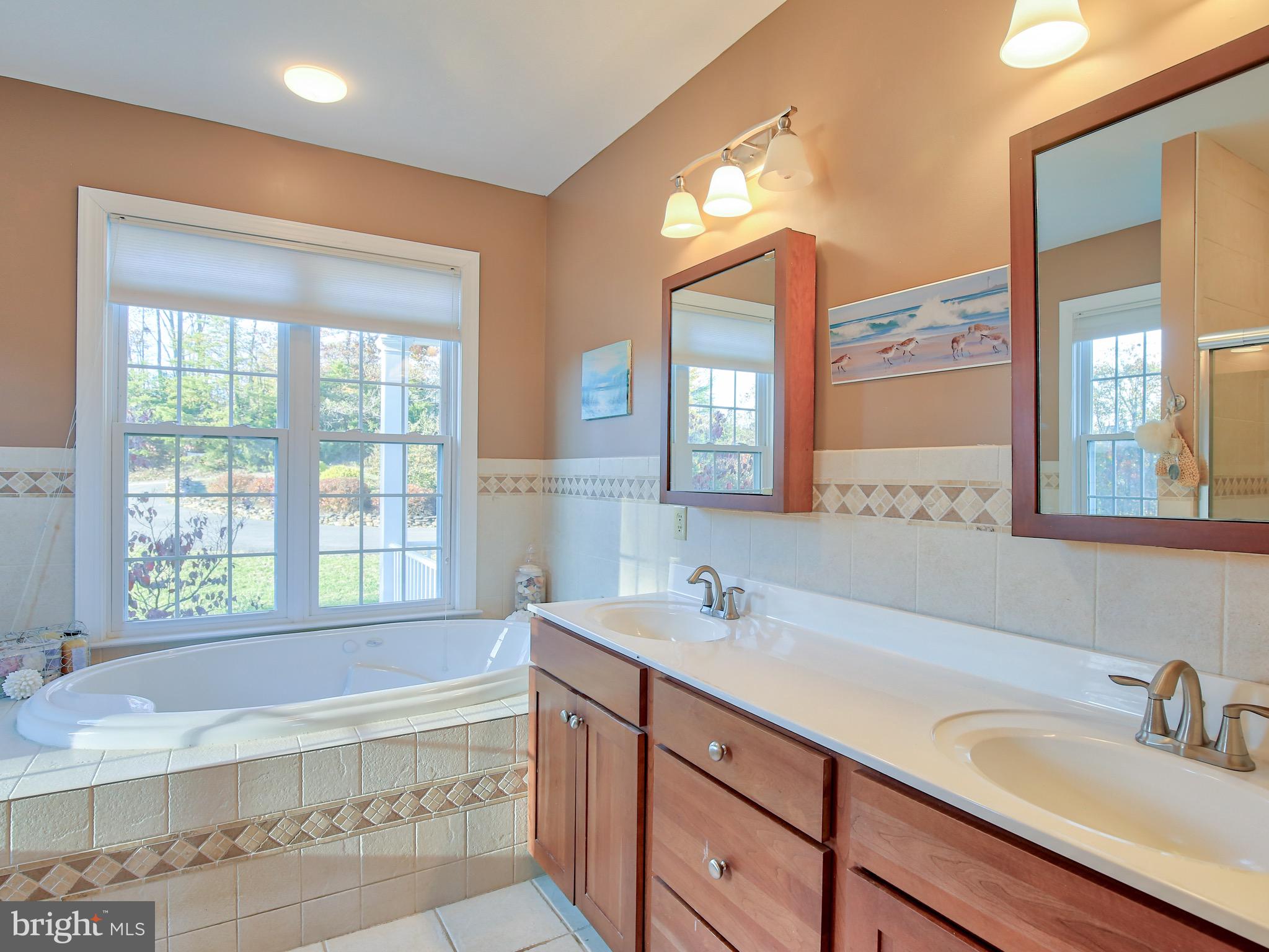 461 Fletcher Road Gore, VA 22637 - Photo 23 of 51 Master bath w/ large jetted tub