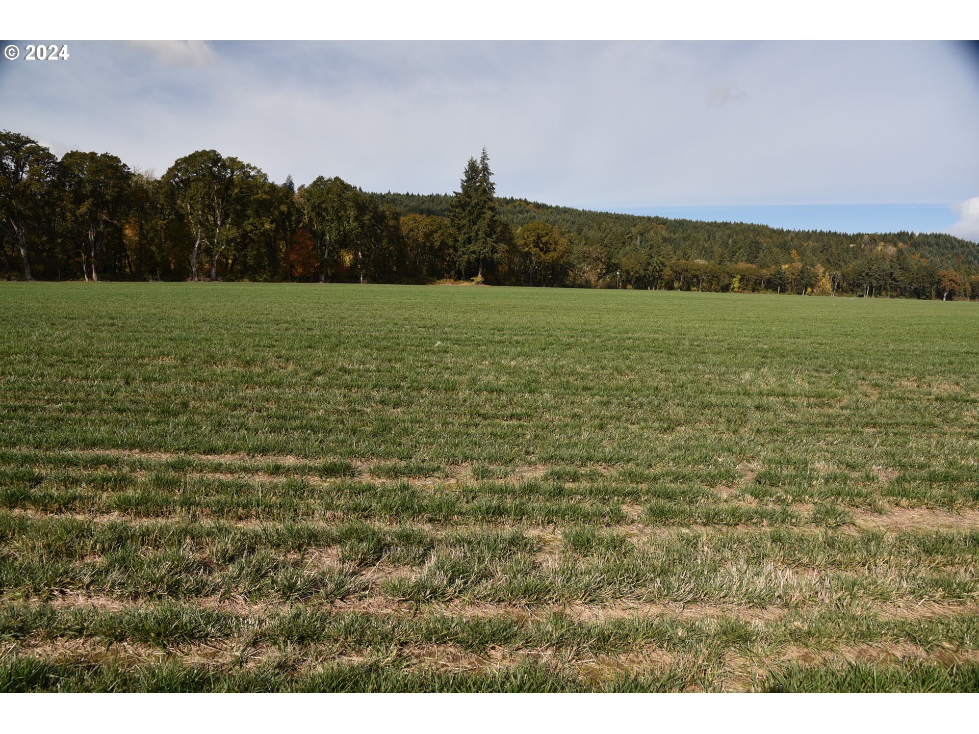 9375 Steel Bridge Road Sheridan, OR 97378 - Photo 5 of 13 Gallery Image 5