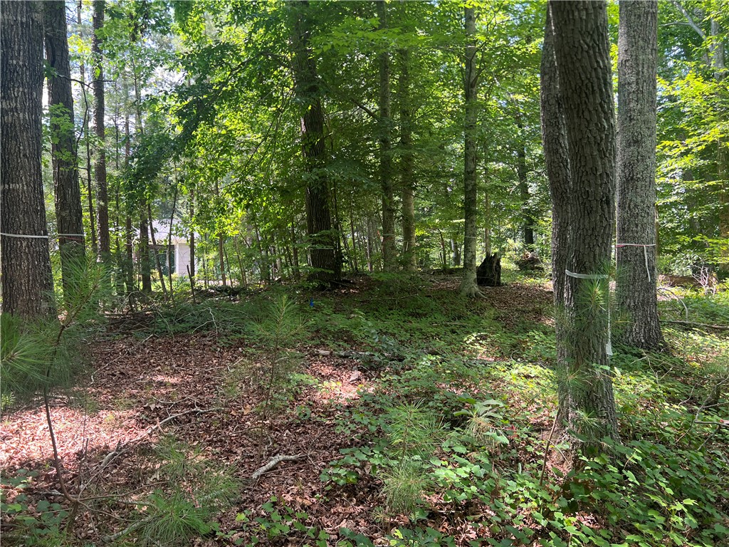 0 Promontory Ridge, Unit LOT 45 STILLWATER Seneca, SC 29672 - Photo 15 of 26