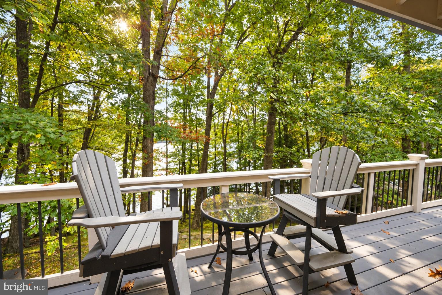 3105 Shingle Camp Road McHenry, MD 21541 - Photo 65 of 84 Gallery Image 65