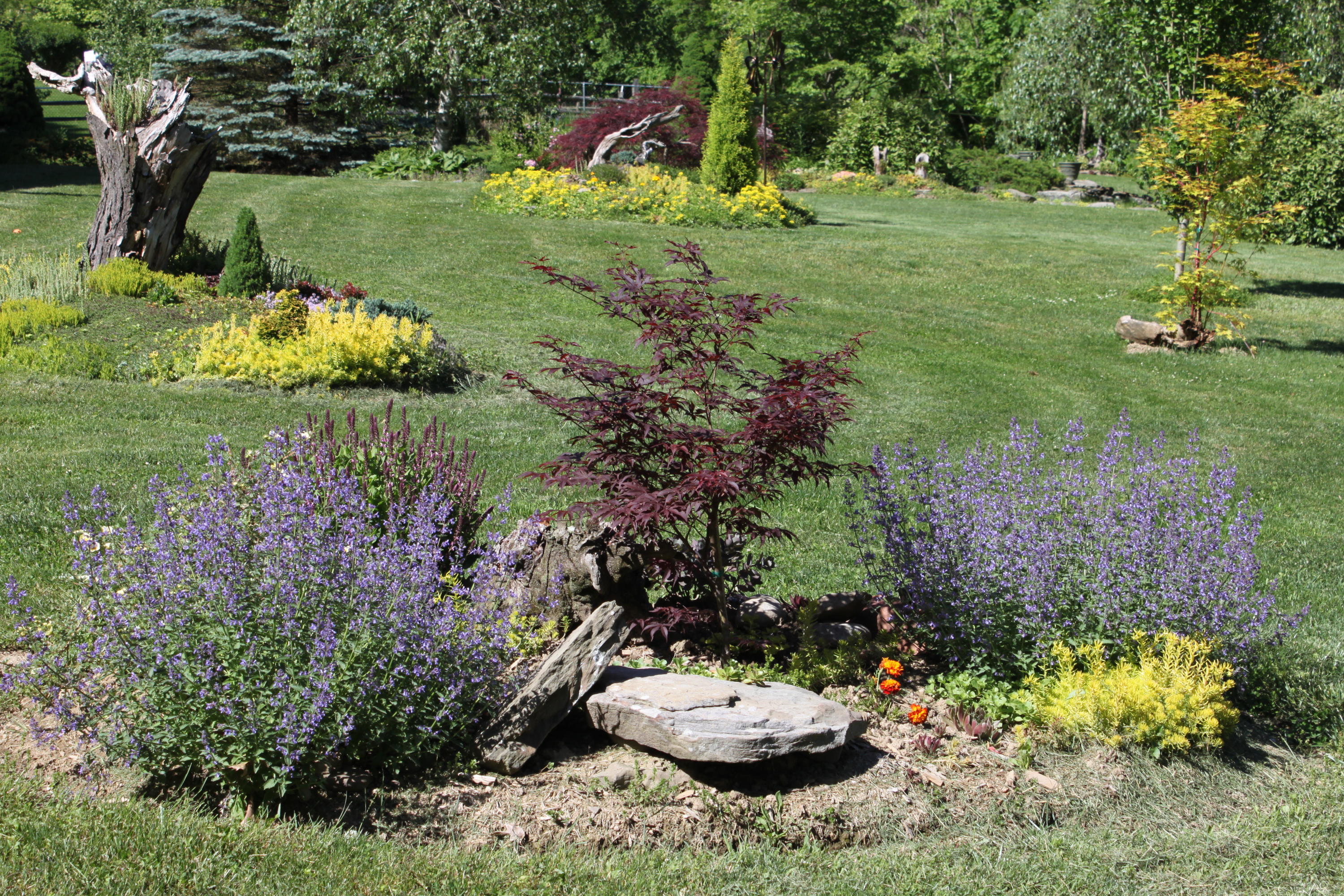 2782 Dark Region Road Clarks Summit, PA 18411 - Photo 94 of 95 Gallery Image 94