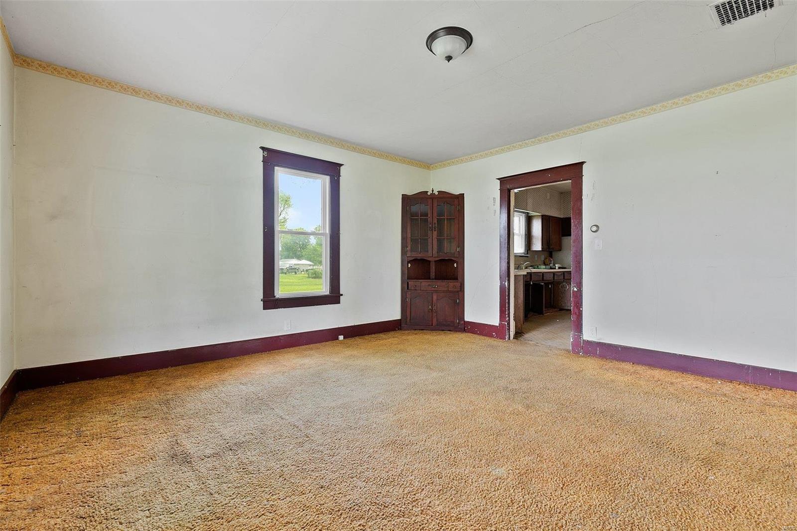 7236 Renken Road Dorsey, IL 62021 - Photo 4 of 24