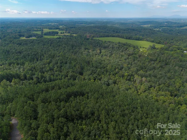 a view of a city with lush green forest