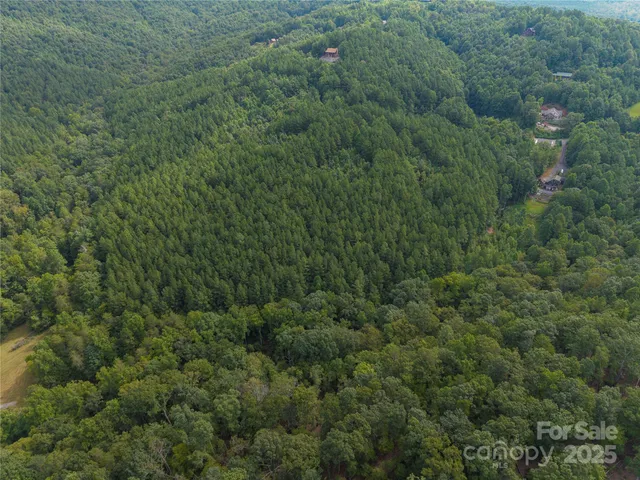 an aerial view of residential house with outdoor space and trees all around