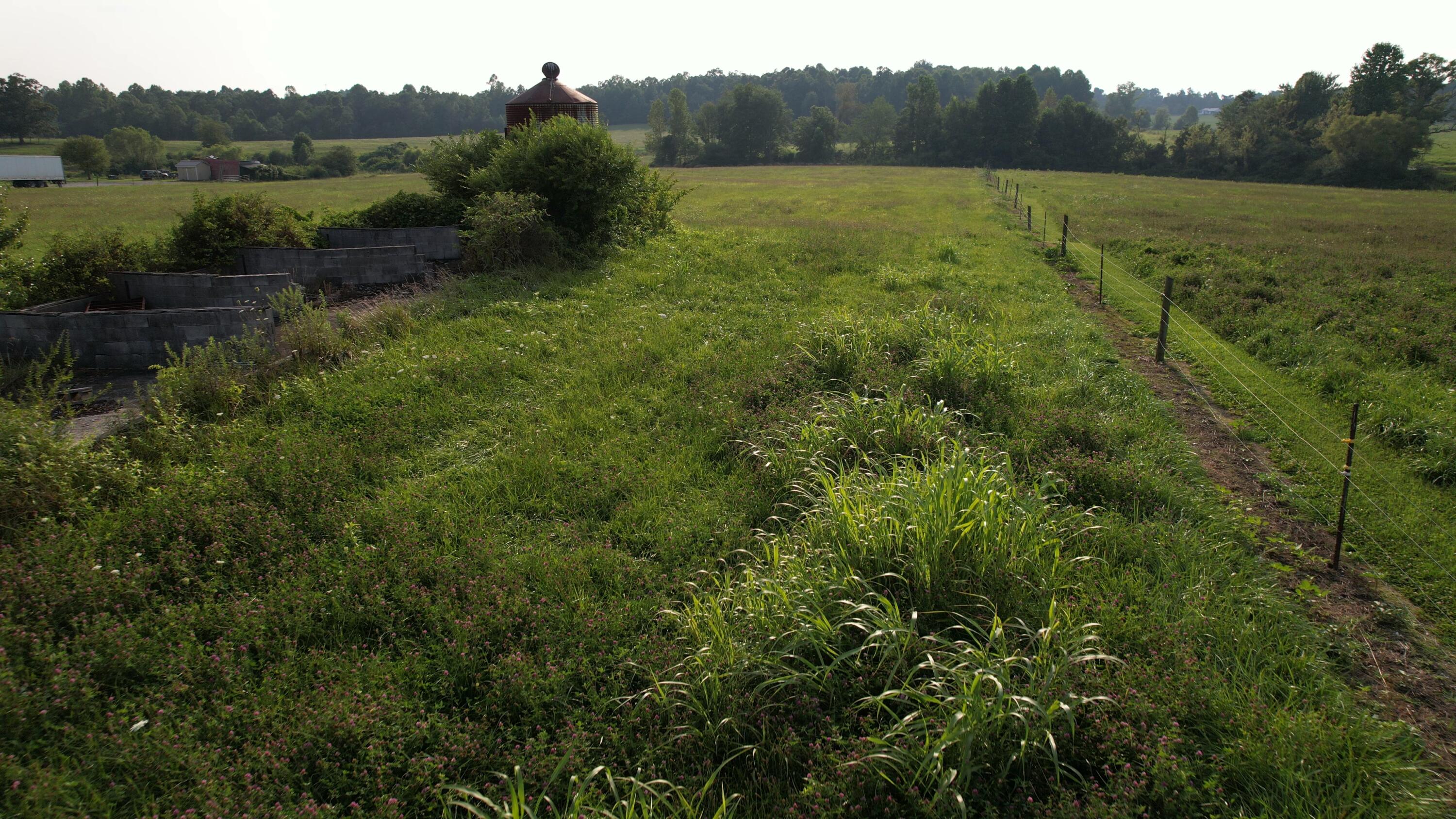 Broom Road Sparta, TN 38583 - Photo 21 of 31 DJI_0484_Moment