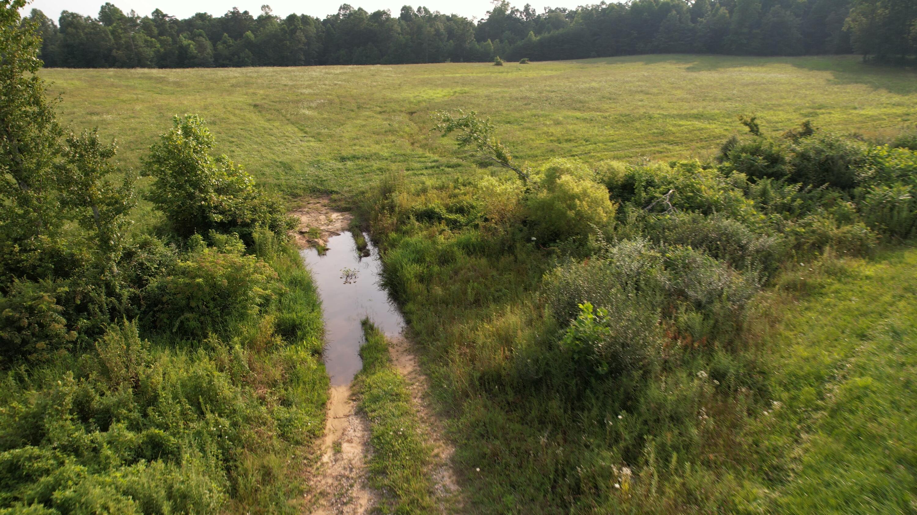 Broom Road Sparta, TN 38583 - Photo 24 of 31 DJI_0487_Moment(3)