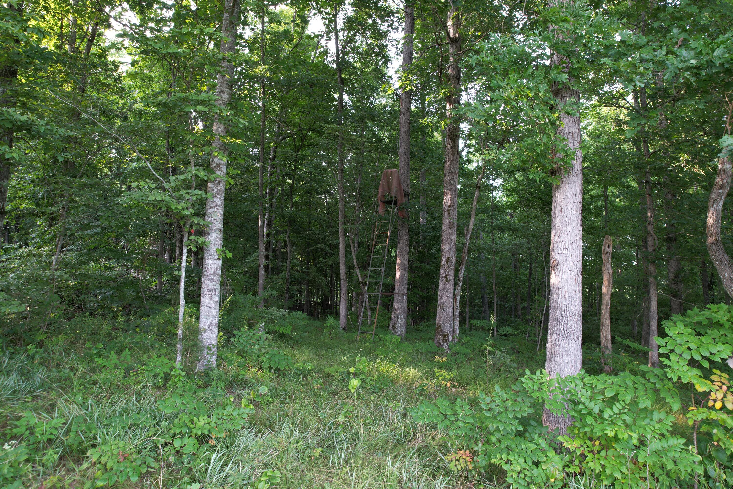 Broom Road Sparta, TN 38583 - Photo 28 of 31 DJI_0489