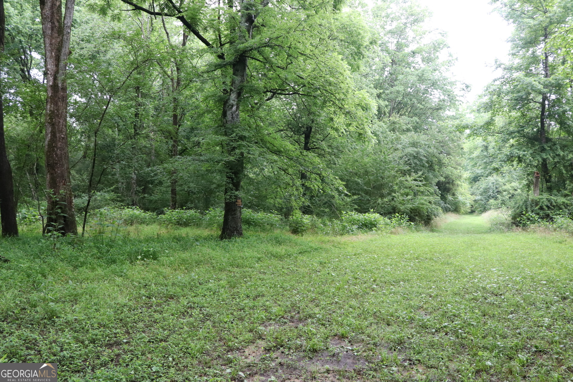 833 Neal Gap Road Summerville, GA 30747 - Photo 43 of 86