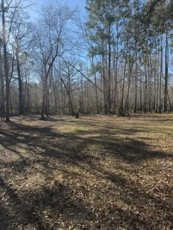 $59,999 | 5108 Pitch Landing Drive, Conway, SC 29527