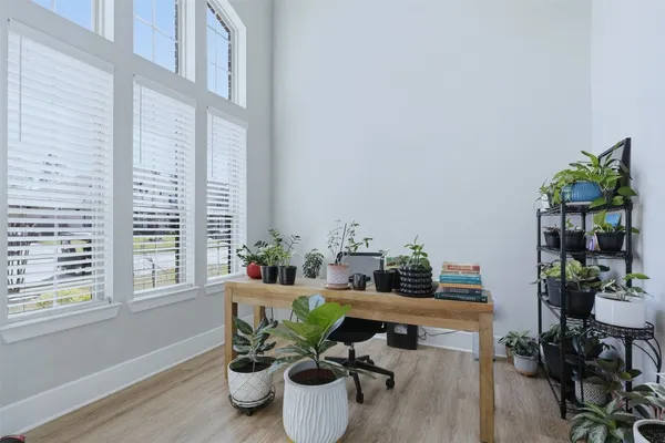 a living room with furniture and a potted plant