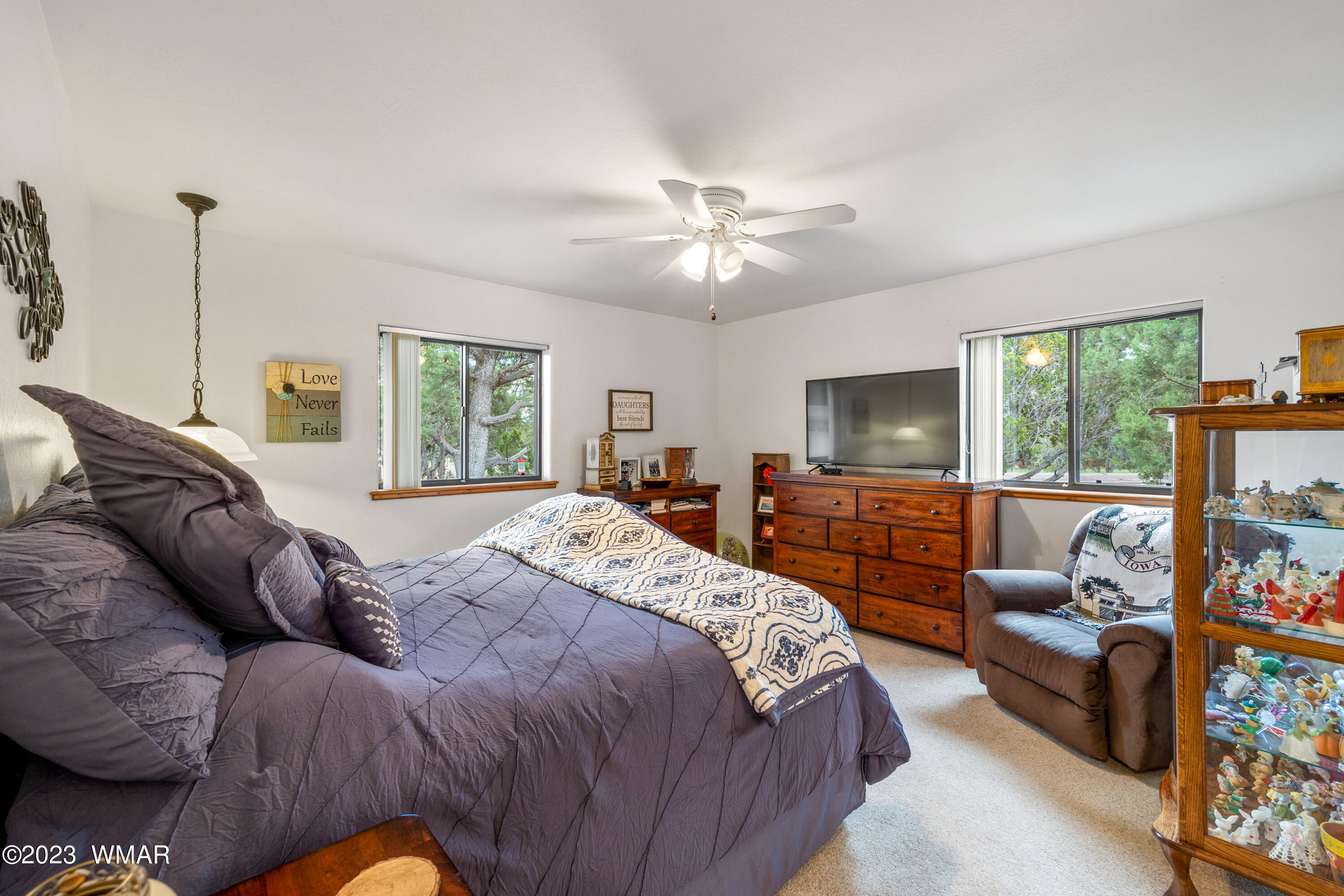 2862 Cedar Ridge Drive Overgaard, AZ 85933 - Photo 17 of 36