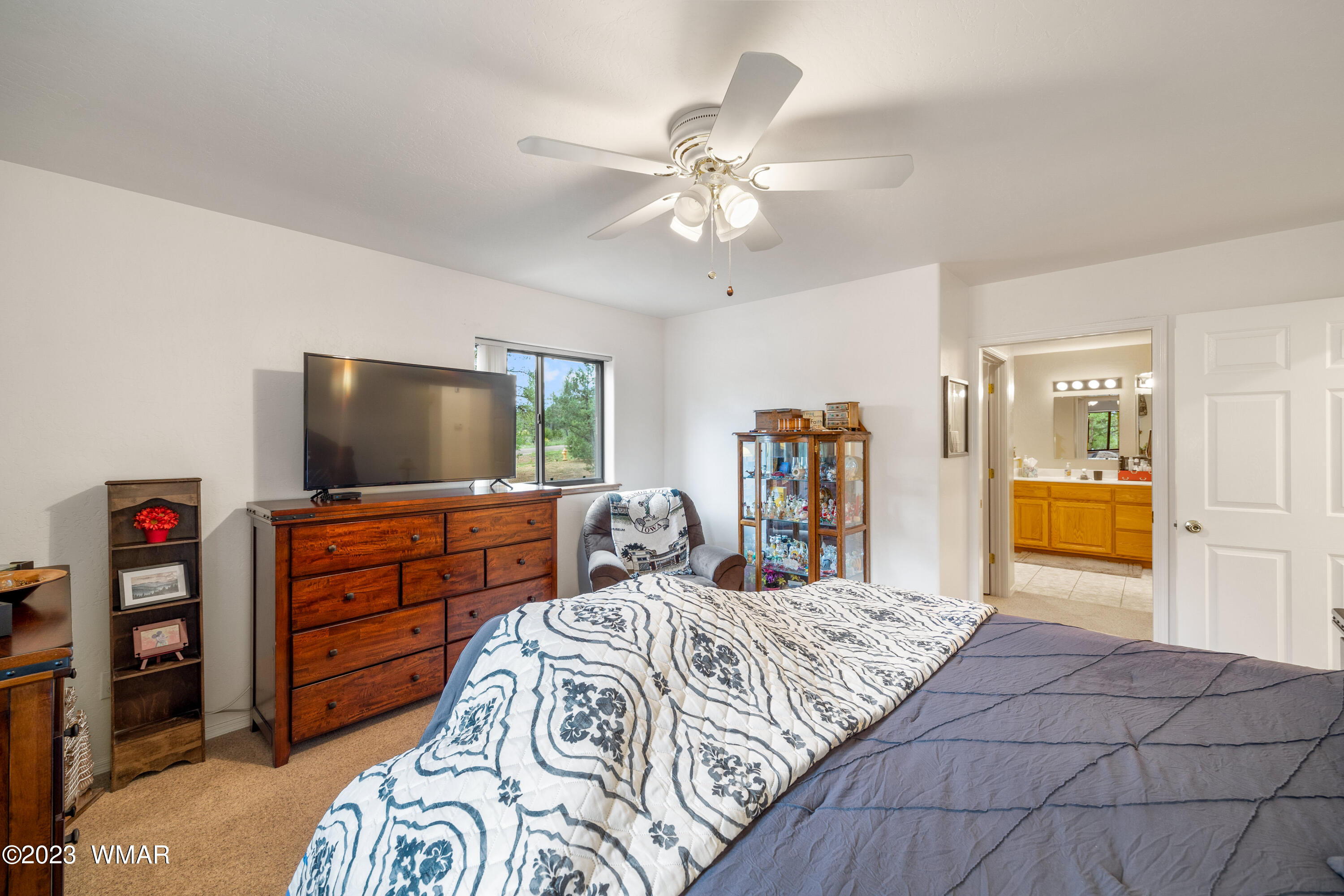 2862 Cedar Ridge Drive Overgaard, AZ 85933 - Photo 18 of 36