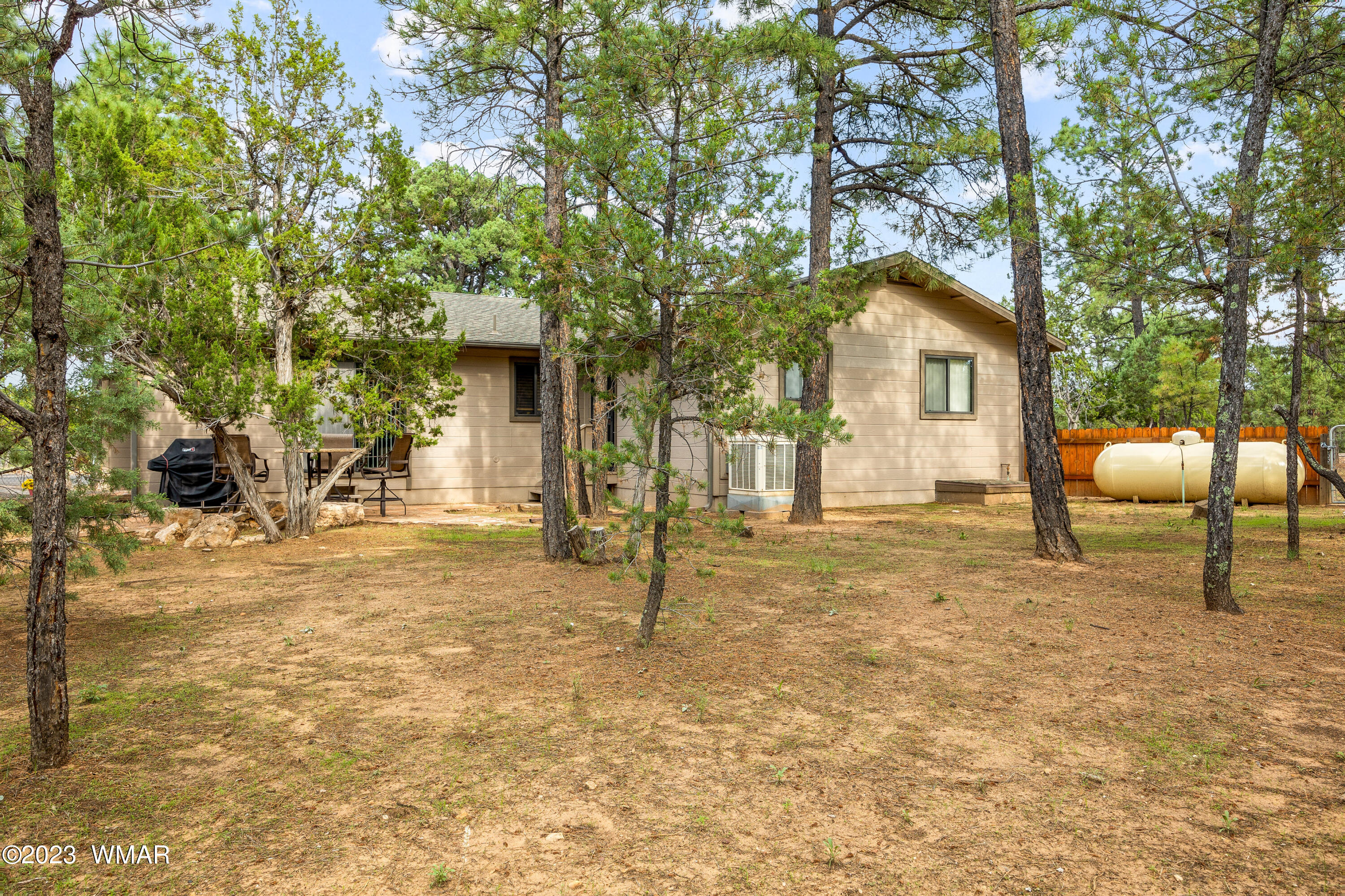 2862 Cedar Ridge Drive Overgaard, AZ 85933 - Photo 27 of 36