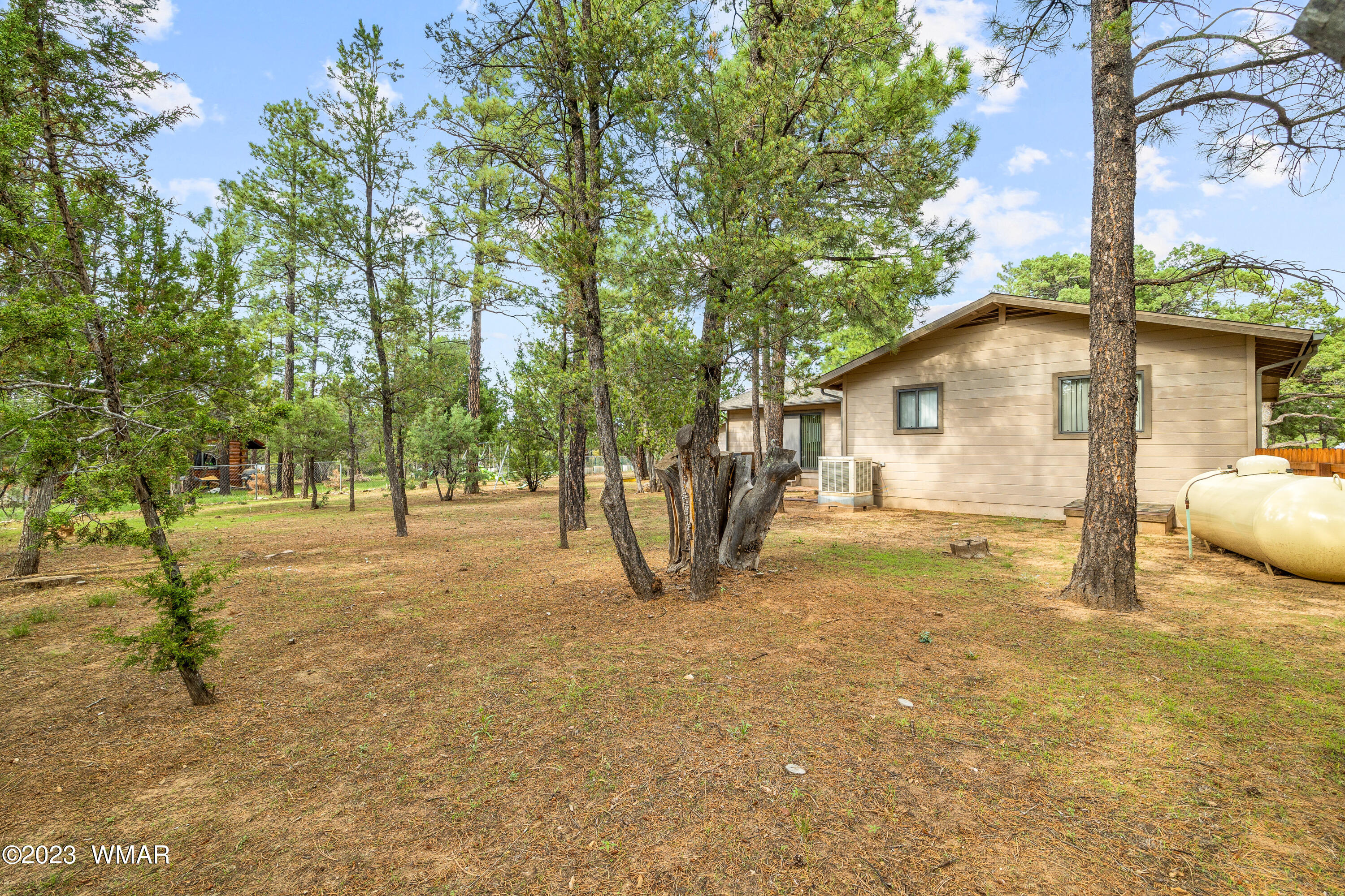 2862 Cedar Ridge Drive Overgaard, AZ 85933 - Photo 29 of 36
