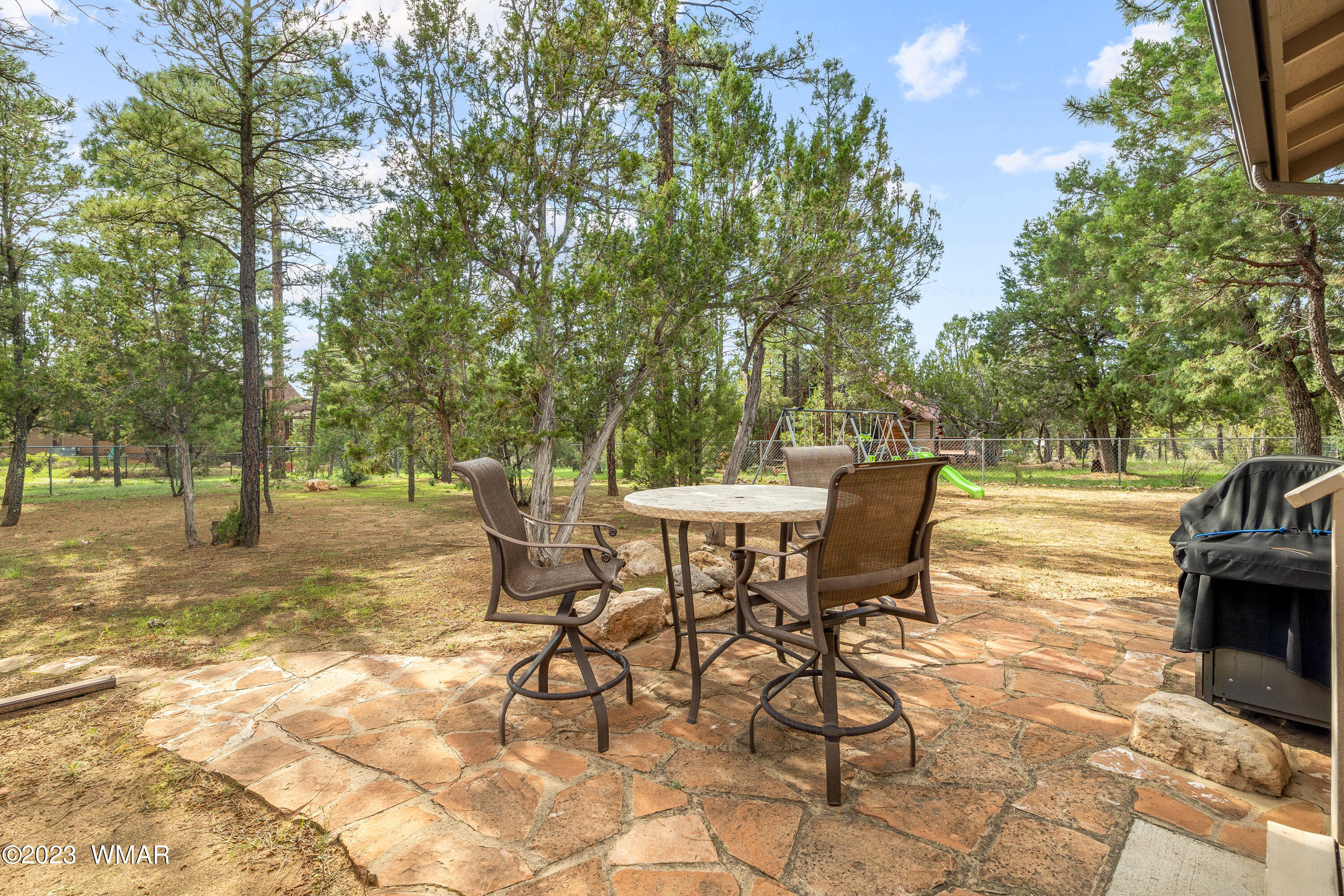 2862 Cedar Ridge Drive Overgaard, AZ 85933 - Photo 30 of 36