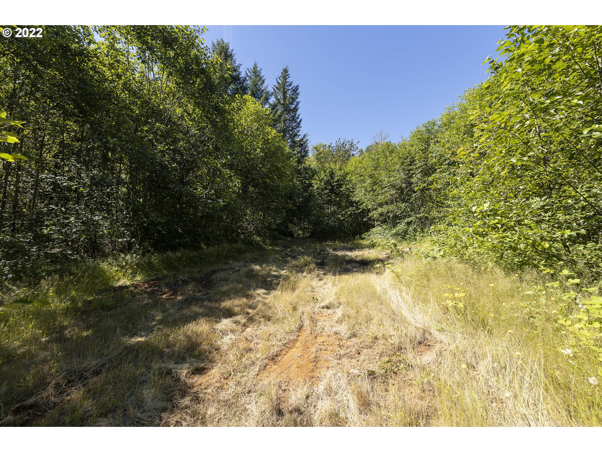 17823 Northwest Collins Road North Plains, OR 97133 - Photo 30 of 31 View