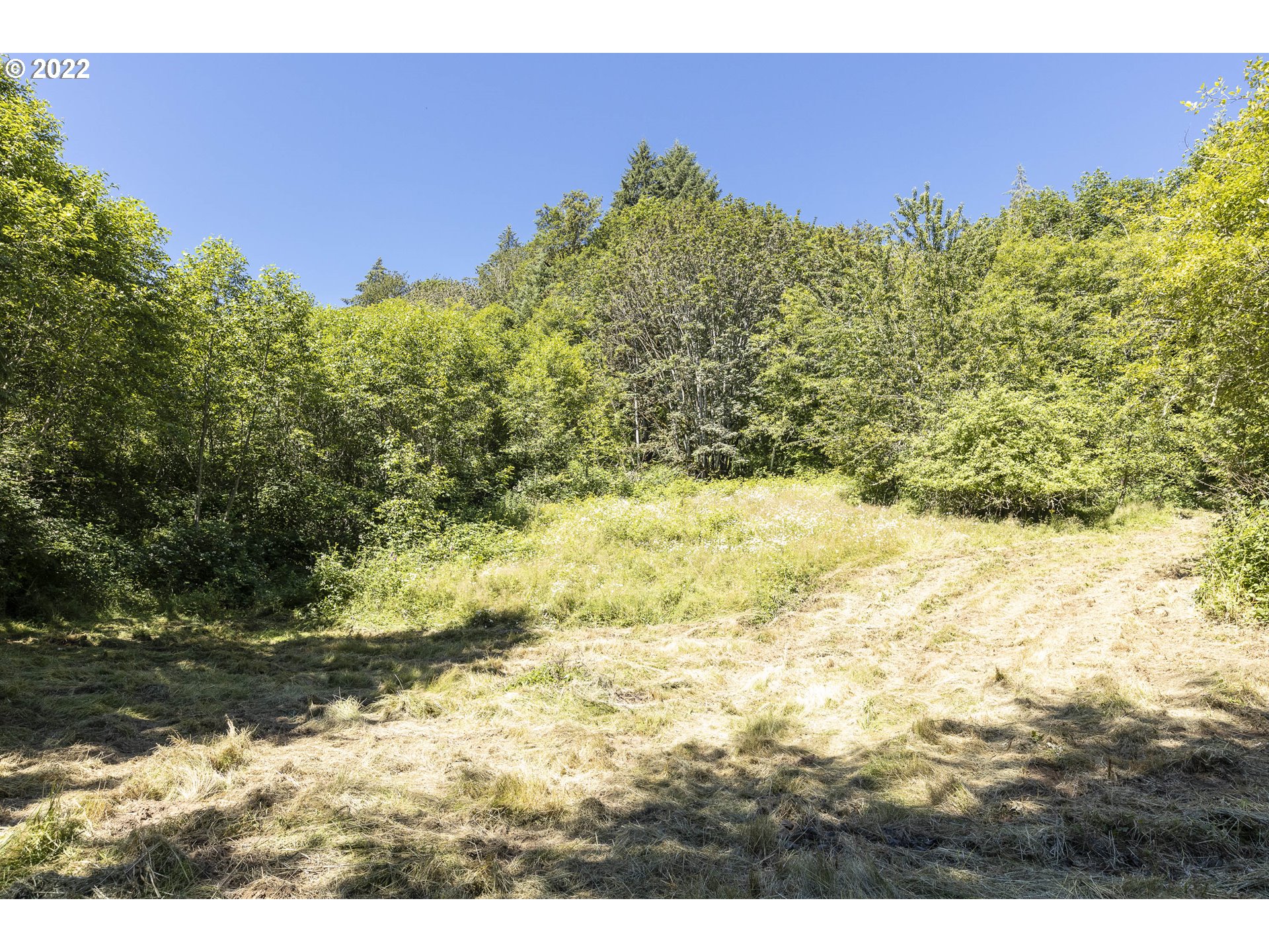 17823 Northwest Collins Road North Plains, OR 97133 - Photo 4 of 31 Gallery Image 4