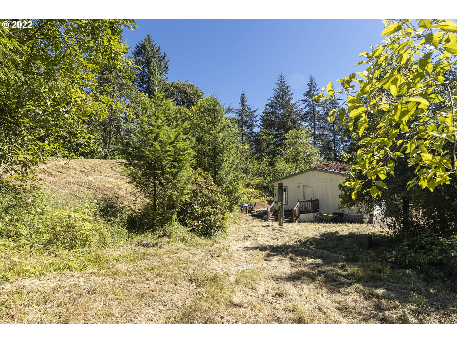 17823 Northwest Collins Road North Plains, OR 97133 - Photo 5 of 31 Gallery Image 5