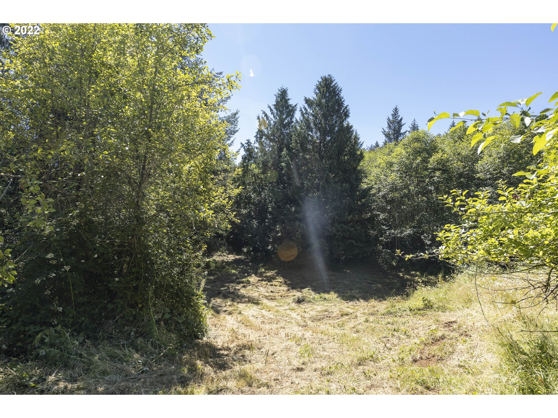 17823 Northwest Collins Road North Plains, OR 97133 - Photo 6 of 31 Gallery Image 6