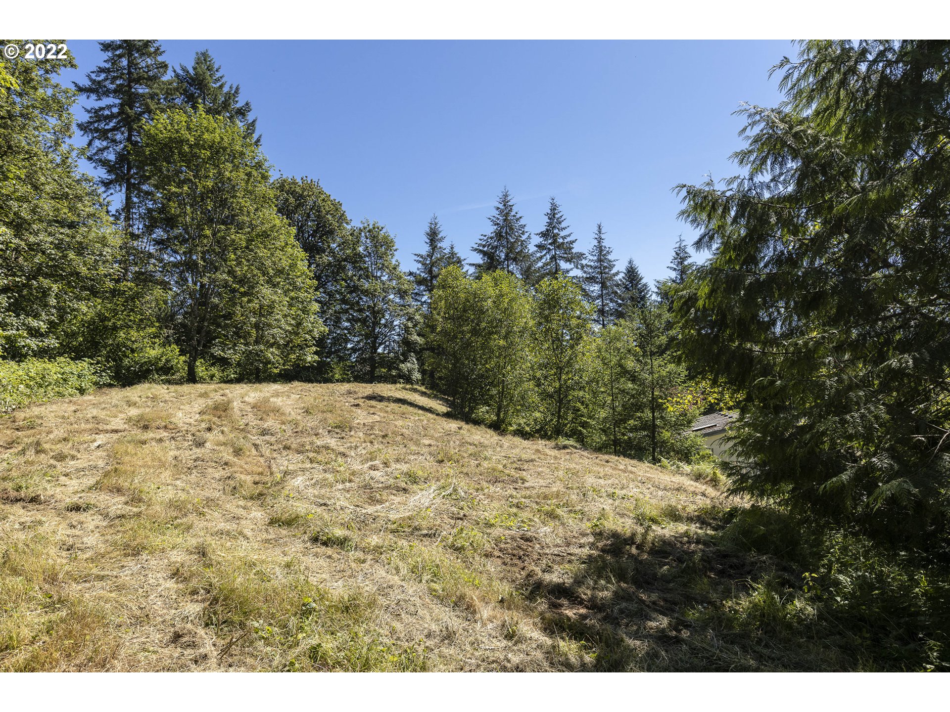 17823 Northwest Collins Road North Plains, OR 97133 - Photo 7 of 31 Gallery Image 7