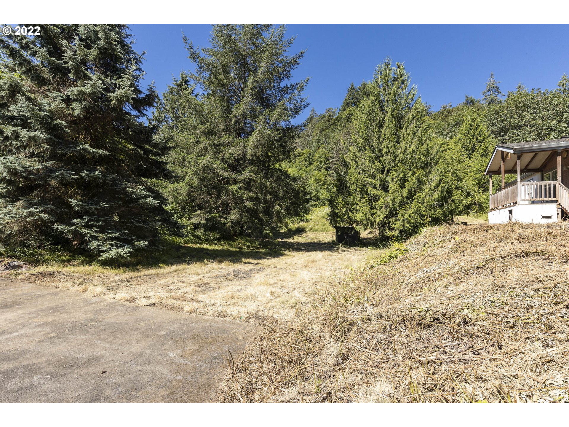 17823 Northwest Collins Road North Plains, OR 97133 - Photo 10 of 31 Gallery Image 10