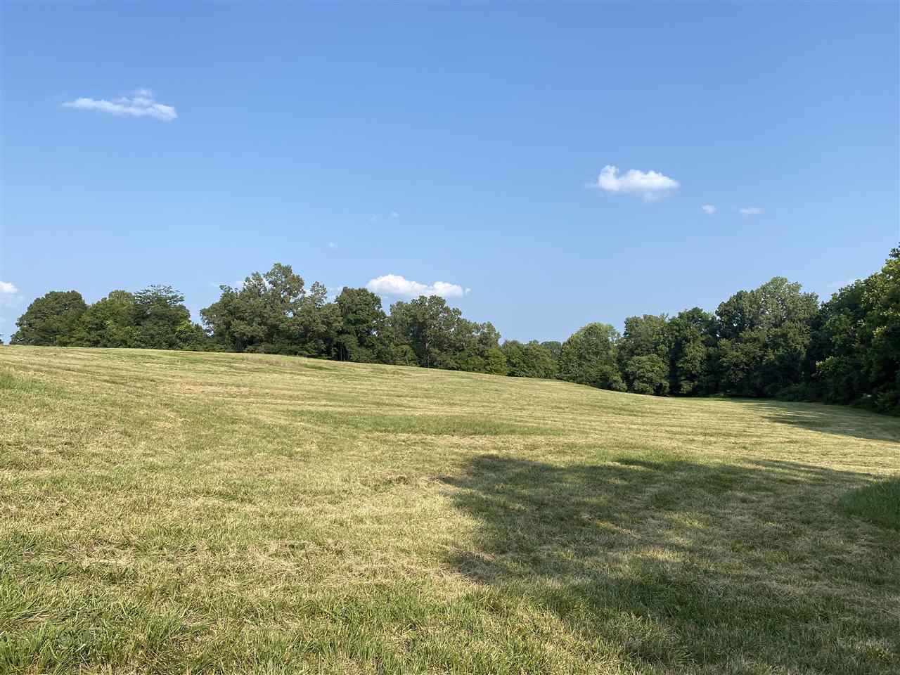 2355 Tomlin Road Somerville, TN 38068 - Photo 1 of 3 Gallery Image 1
