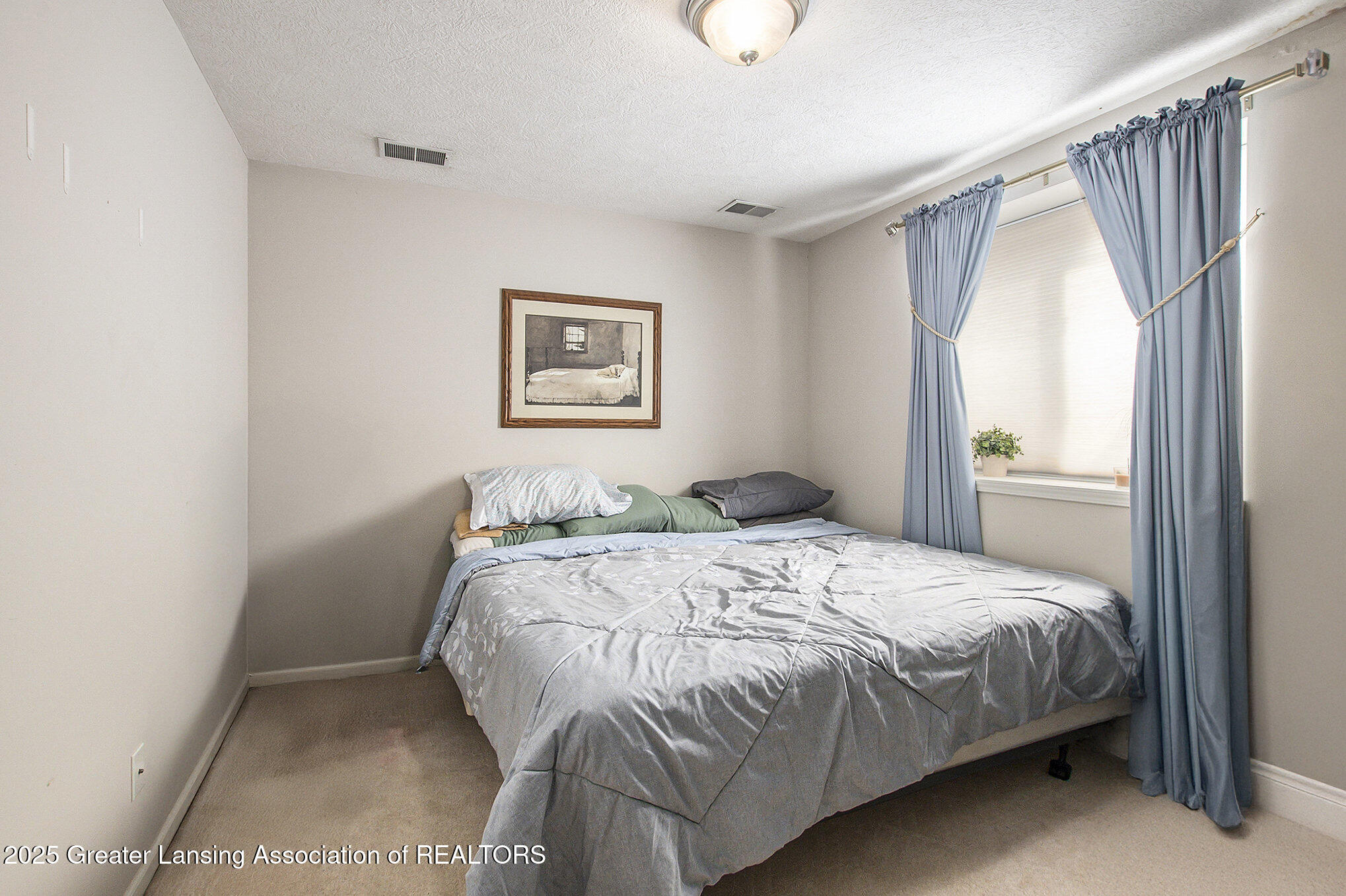 5945 East Coleman Road East Lansing, MI 48823 - Photo 20 of 26 023__ndp5931_198
