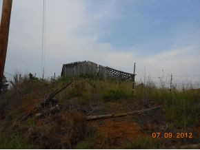 0 Forest Road Mosheim, TN 37818 - Photo 3 of 3 Photo 3