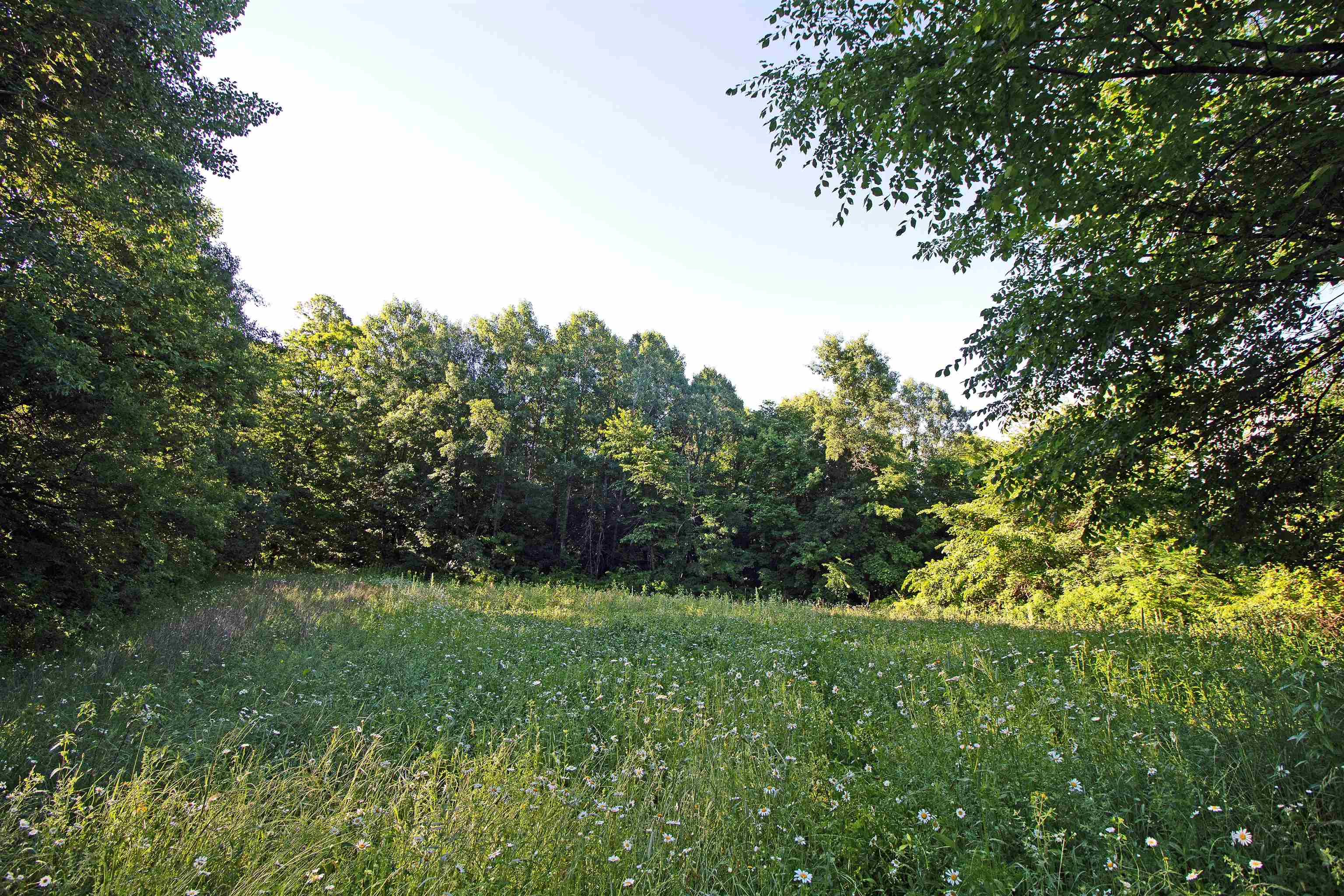 76-acres Skyline Road Blue River, WI 53518 - Photo 12 of 46