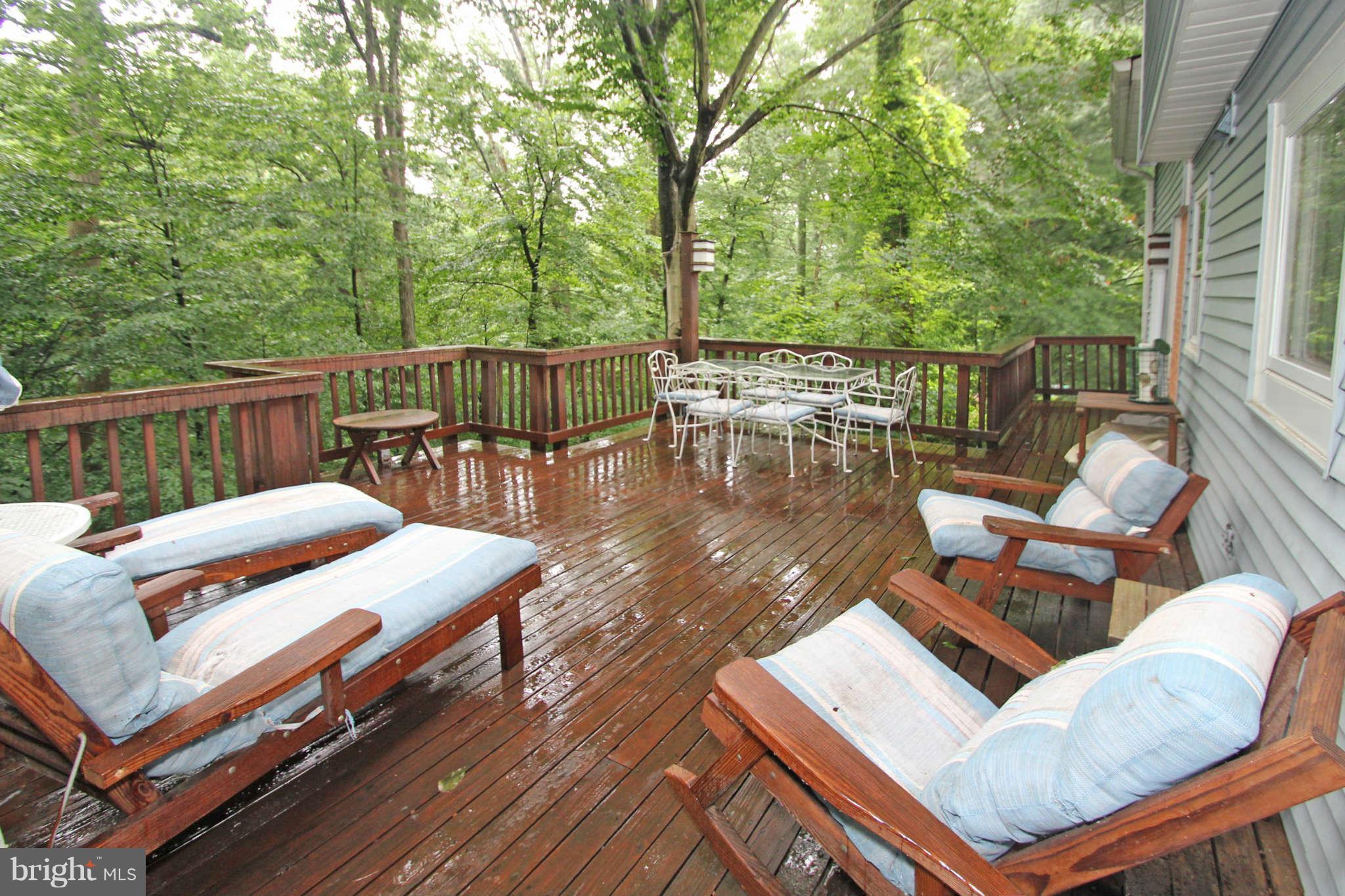 10607 Meadowhill Road Silver Spring, MD 20901 - Photo 26 of 27 Deck