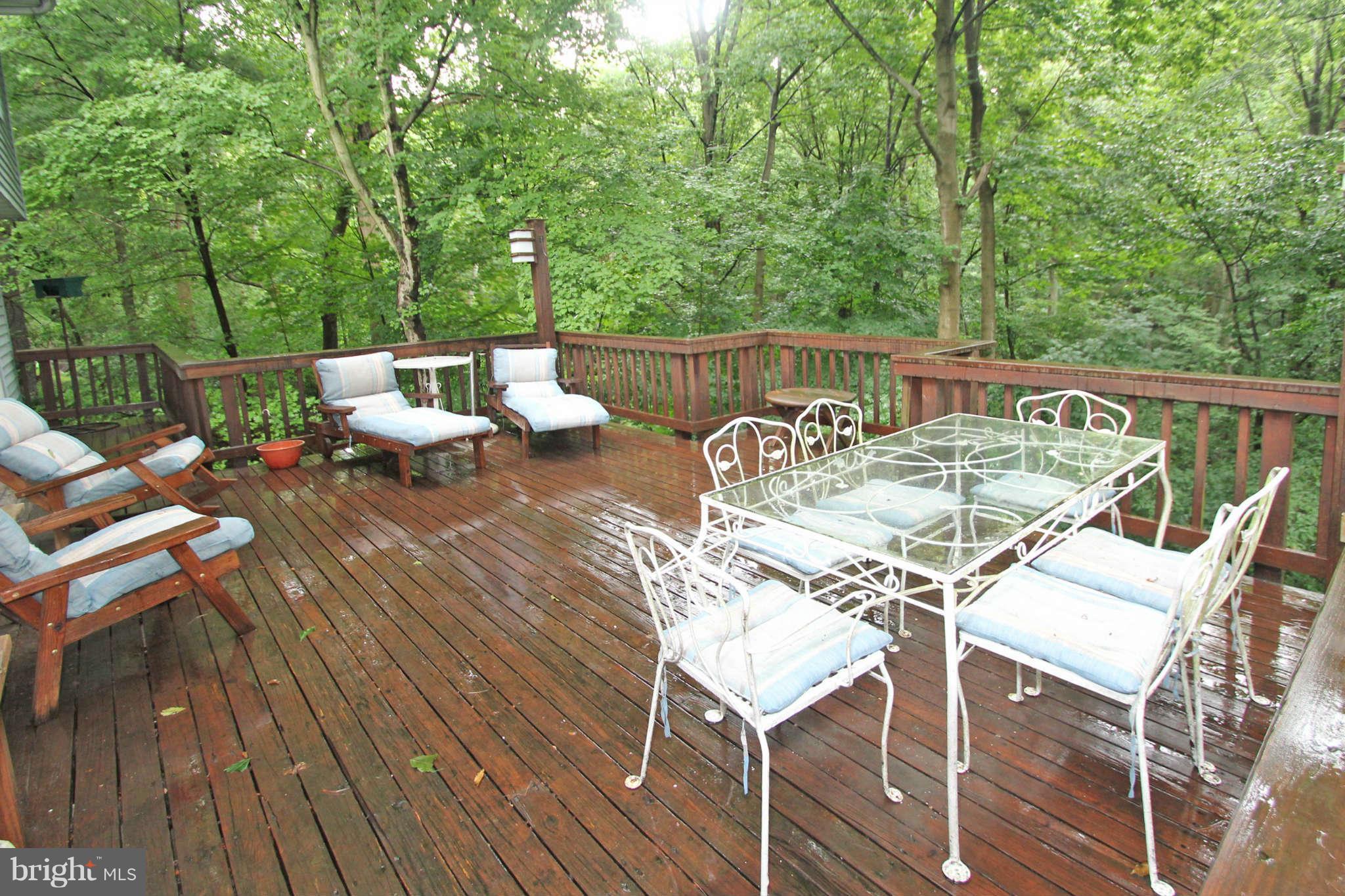 10607 Meadowhill Road Silver Spring, MD 20901 - Photo 27 of 27 Deck