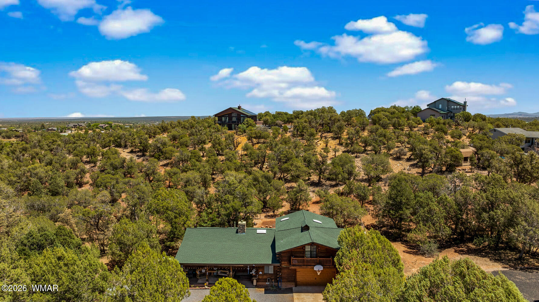 6720 Cheney Ranch Loop Show Low, AZ 85901 - Photo 48 of 55 Aerial View