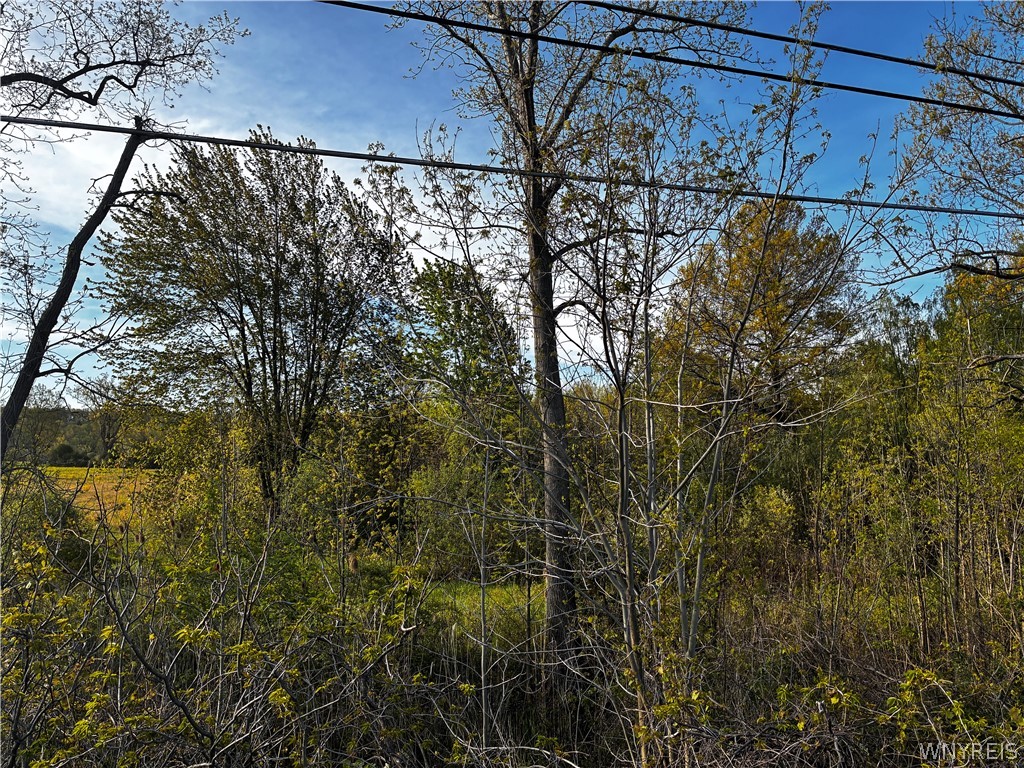 2330 Ridge Road Ransomville, NY 14131 - Photo 7 of 31