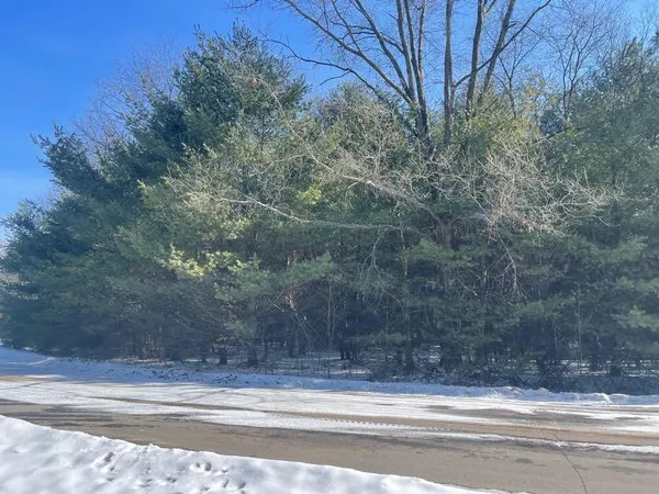 $20,000 | 9086 Forest Pines Drive, Mecosta, MI 49332