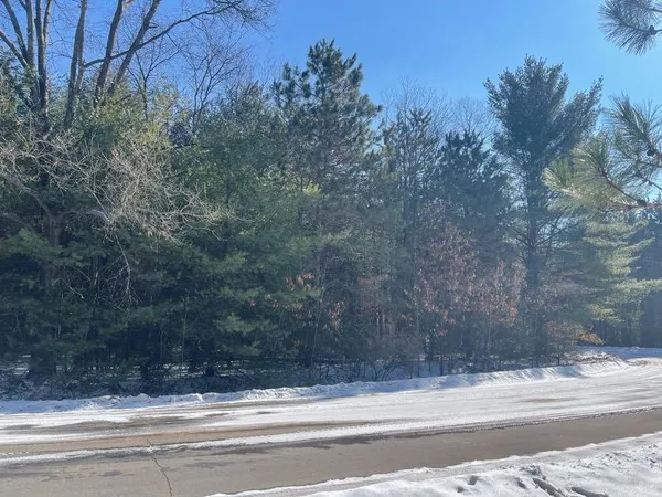 $20,000 | 9086 Forest Pines Drive, Mecosta, MI 49332