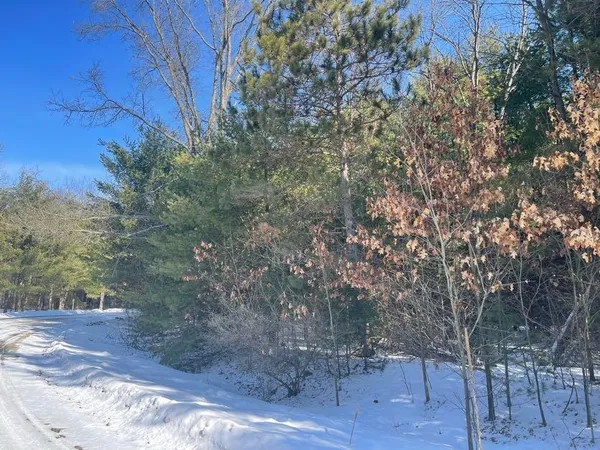 $20,000 | 9086 Forest Pines Drive, Mecosta, MI 49332
