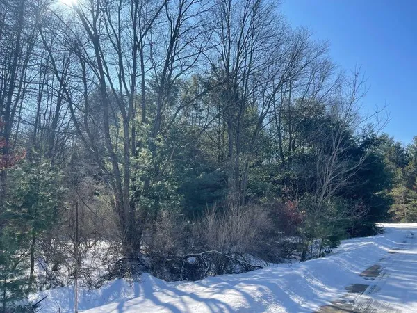 $20,000 | 9086 Forest Pines Drive, Mecosta, MI 49332