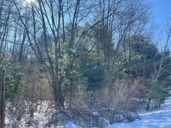 $20,000 | 9086 Forest Pines Drive, Mecosta, MI 49332