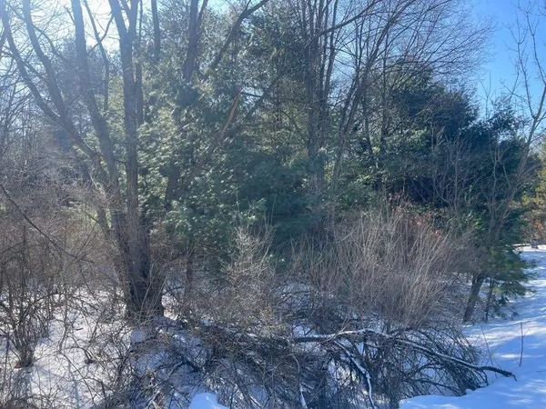 $20,000 | 9086 Forest Pines Drive, Mecosta, MI 49332